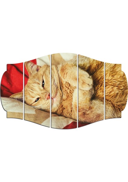 Kedi Mdf TABLO-2540 (Model C)