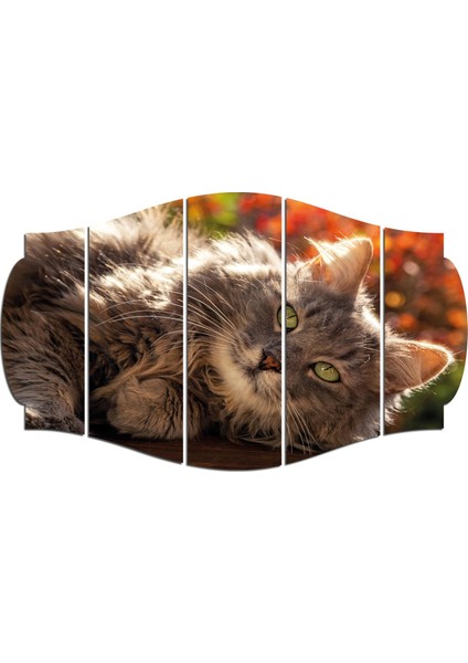 Kedi Mdf TABLO-2565 (Model C)