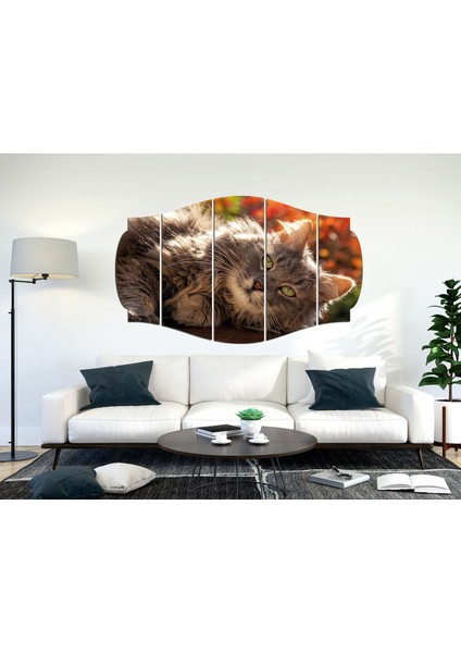 Kedi Mdf TABLO-2565 (Model C) fiyatları