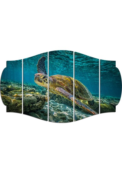 Deniz Kaplumbağası Mdf TABLO-1754 (Model C)