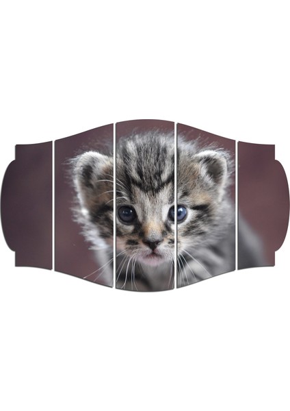 Kedi Mdf TABLO-2515 (Model C)