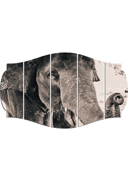 Fil Mdf TABLO-2434 (Model C)