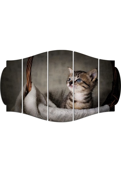 Kedi Mdf TABLO-2527 (Model C)