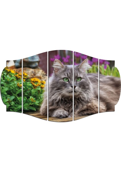 Kedi Mdf TABLO-2516 (Model C)