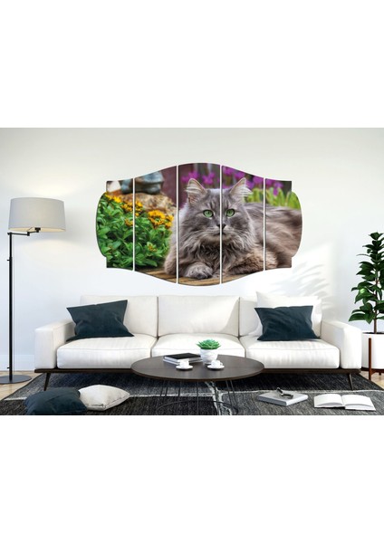 Kedi Mdf TABLO-2516 (Model C)