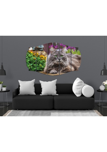 Kedi Mdf TABLO-2516 (Model C)