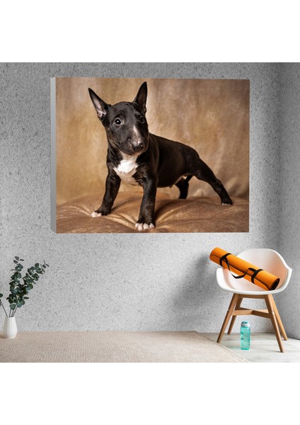 Siyah Terrier Köpek Yavrusu Dekoratif Kanvas Tablo