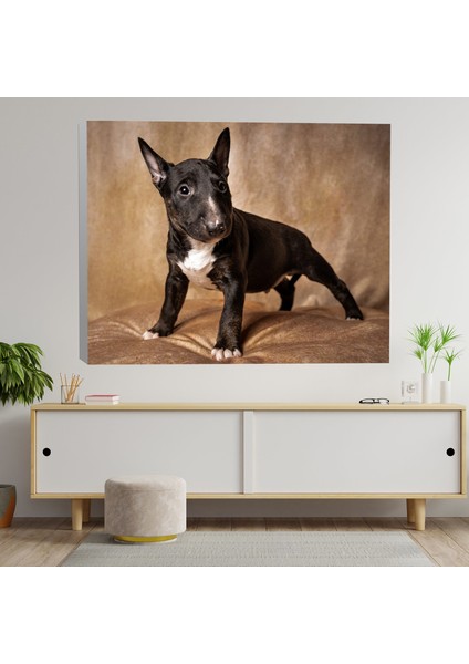 Siyah Terrier Köpek Yavrusu Dekoratif Kanvas Tablo