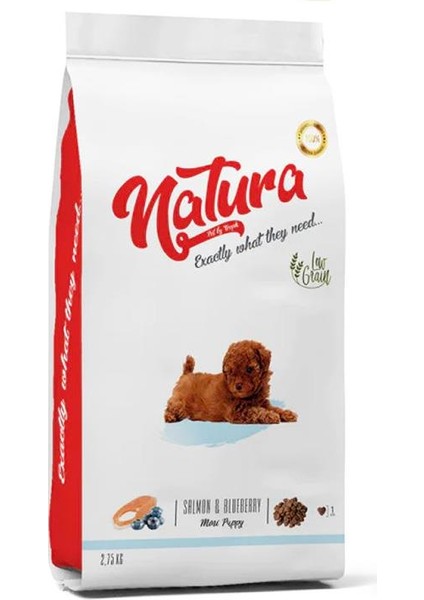 Natura Somon Etli ve Yaban Mersinli Küçük Irk Yavru Köpek Maması 2.75 kg