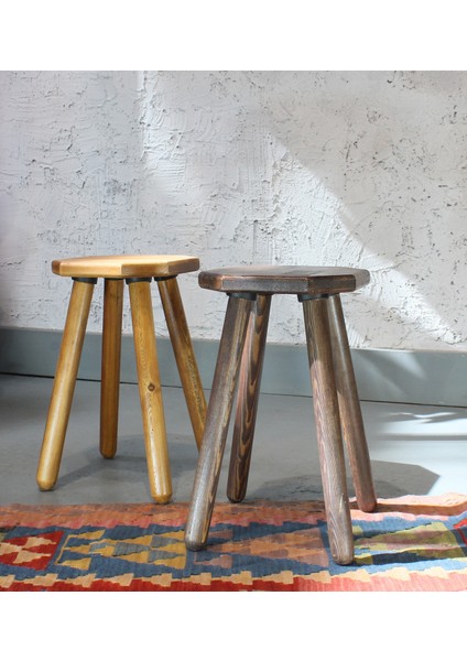 Agapanthus Tabure Pali Rengi fırsatları