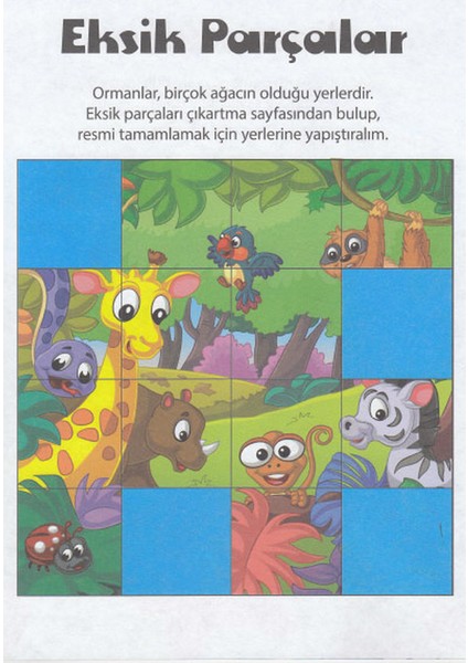 Muhteşem Çıkartmalar ve Aktiviteler Serisi - 10 Kitap modelleri