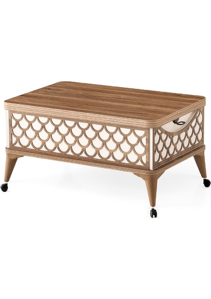 ZERENLAND_17 Çift Çekmeceli Tekerlekli Akıllı Sehpa