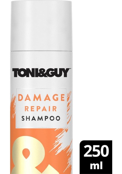 Toni&guy Toni Guy Yıpranmış Saçlar Için Şampuan 250 ml