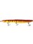 Profısher 15 Eklem Çeneli Yılan Balığı Sert Yapay Yem 34 gr 21 cm Or 2