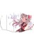 Anime Mdf TABLO-0144 (Model C) 1