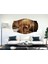 Köpek Mdf TABLO-2646 (Model C) 2
