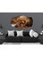 Köpek Mdf TABLO-2646 (Model C) 3