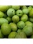 Tüplü Aşılı Büyük Taneli Çekişte Zeytin Fidanı 1