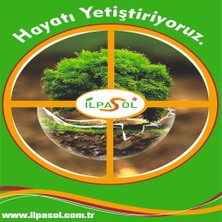Ilpasol®organik Sıvı Solucan Gübresi 20 Litre + 5 Bidon