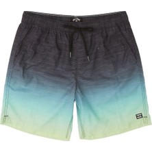 Billabong All Day Faded Erkek Deniz Şortu