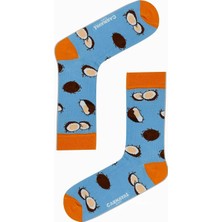 Carnaval Socks Hindistan Cevizli Yaz Renkli Çorap