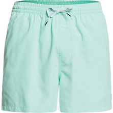 Quiksilver Everyday 15 M Jamv Erkek Volley Short EQYJV03531-GCZ0