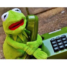 Schulzz Susam Sokağı Kurbağa Kermit 41 cm Peluş Oyuncak