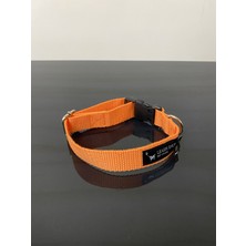 Leash Shop Leash Shop köpek Boyunluk Turuncu M Beden (30-45) cm