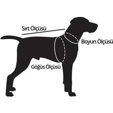 Leash Shop -Turuncu- Köpek Göğüs Bel Tasma Takımı M Beden (45-55 Cm)