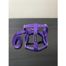 Leash Shop -Mor- Köpek Göğüs Bel Tasma Takımı M Beden (45-55 Cm)