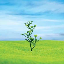 Eshel 8 cm 5'li Yeşil Çiçek