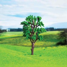 Eshel 10 cm 1'li Okaliptüs Ağacı