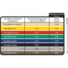 Thera-Band  Professional Resistance Tubing 1.4 mt With Flexible Handles Direnç Lastiği Yeşil