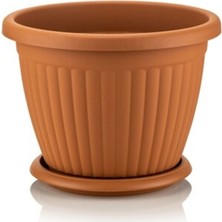 Serinova Serinova Kms2 2 No Kemer Saksı