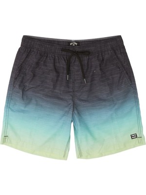 Billabong All Day Faded Erkek Deniz Şortu