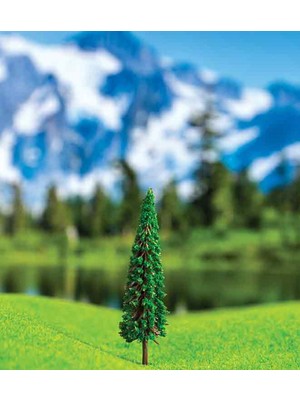 Eshel 6 cm 3'lü Sekoya Çamı