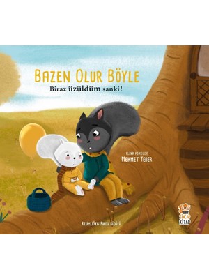 Sincap Kitap Bazen Olur Böyle: Biraz Üzüldüm Sanki - Mehmet Teber