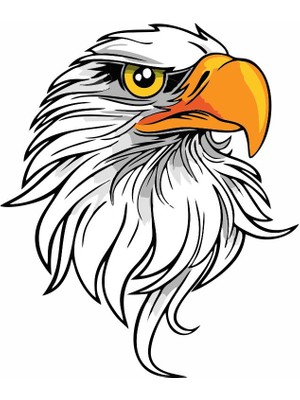 Sticker Master Sticker Master Kartal 3 Sticker Etiket Çıkartma Oto Motor Araba Bilgisayar Notebook Pc 15 cm Oto Motor Pc Etiket