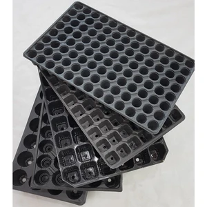 Sera Trend Seratrand 45 Göz Viyol (10 Adet)