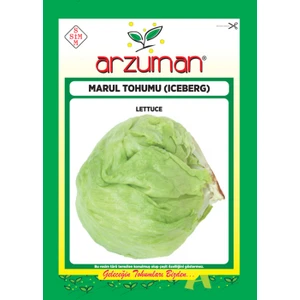 Karahasanoğlu Tarım Iceberg Marul Tohumu 5 gr 3750 Ad Tohum