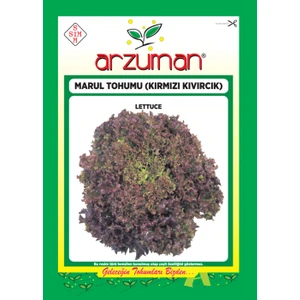 Karahasanoğlu Tarım Kırmızı Kıvırcık Marul Tohumu 5 gr 3750 Ad Tohum