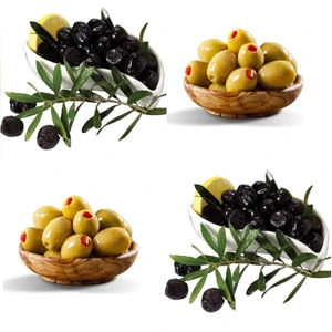 Özel Üretim Çift Aşılı (Gemlik-Domat) Zeytin Fidanı