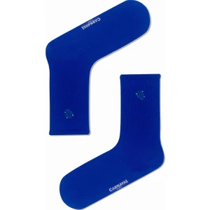 Carnaval Socks Üzüm Nakışlı Saks Renkli Spor Çorap