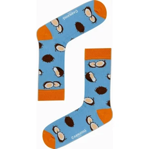Carnaval Socks Hindistan Cevizli Yaz Renkli Çorap