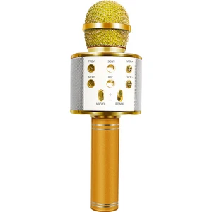 Handheld Ktv Karaoke Mikrofon Gold WS-858