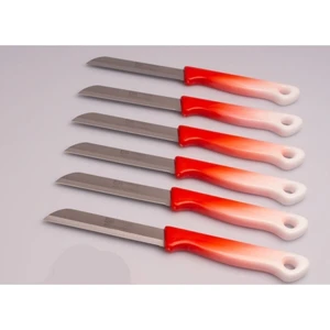 Kırmızı Beyaz Solingen Meyve ve Sebze Bıçağı Tırtıklı 6 Adet