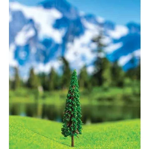6 cm 3'lü Sekoya Çamı