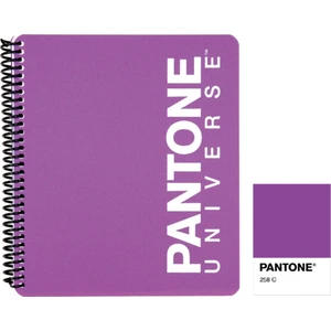 Pantone Pp Kapak Large Boy Çizgili Defter Mor 93004-6