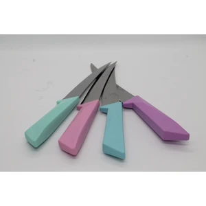 Meyve, Sebze Bıçağı Tırtıklı Renkli