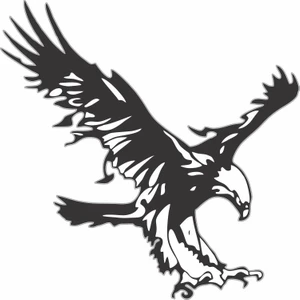 Sticker Master Sticker Master Kartal Eagle Etiket Çıkartma Oto Motor Araba Pc Bilgisayarr Laptop Siyah 15 cm Oto Motor Pc Etiket